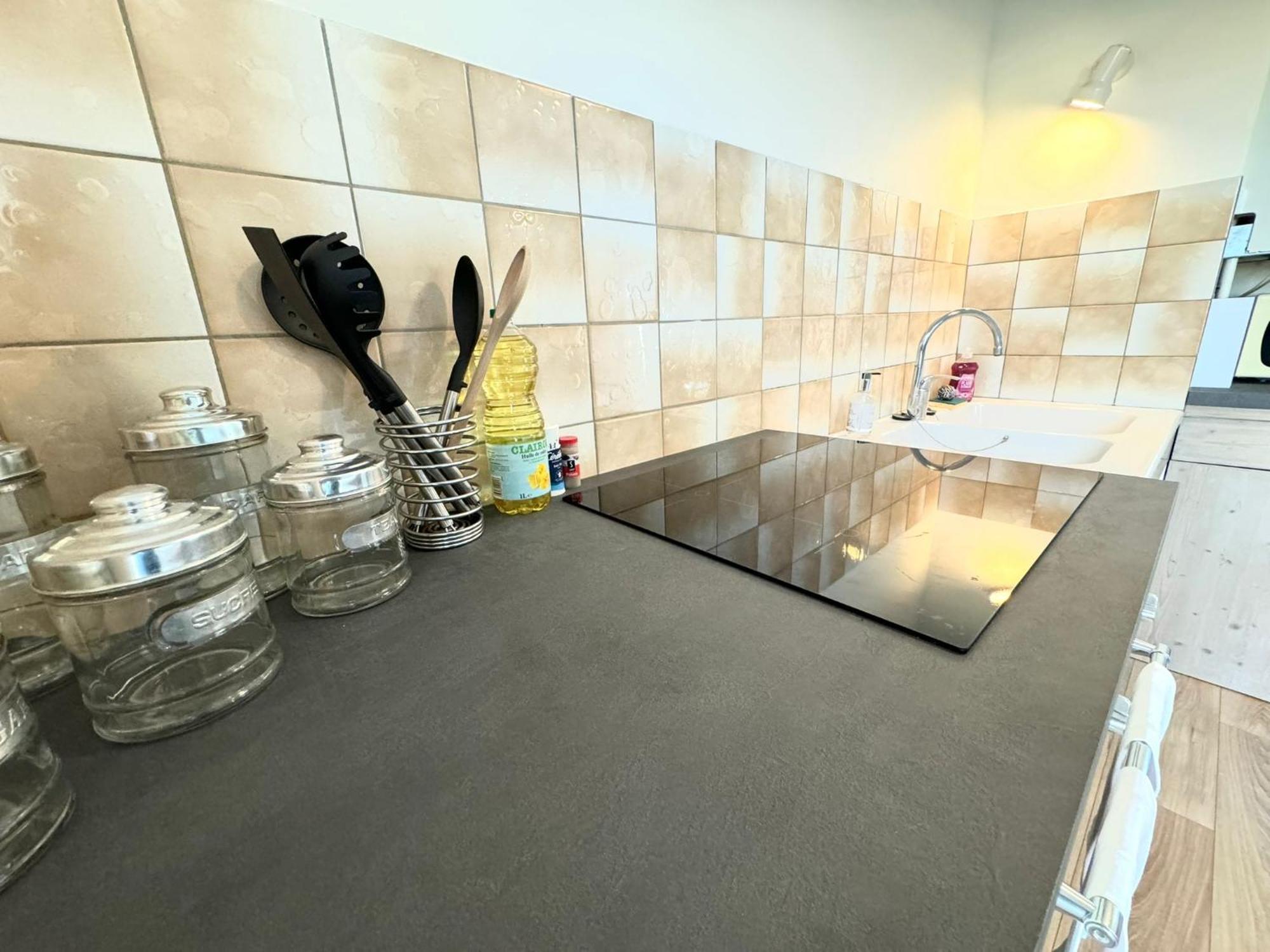 Appartement Quai Saone - By Primo C0Nciergerie 图尔尼 外观 照片